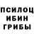 Псилоцибиновые грибы прущие грибы Furious 4