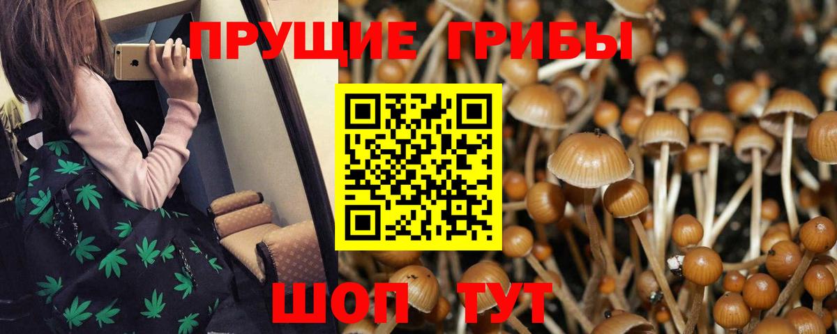 Псилоцибиновые грибы Psilocybine cubensis  Псилоцибиновые грибы Cubensis  цены   Вход с VPN  Красноперекопск 